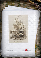 velin-d-Arches-COTTON_Massachusetts_U.S.A (2)