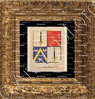 cadre-ancien-or-LA BAROLLIERE_Noblesse d'Empire._France