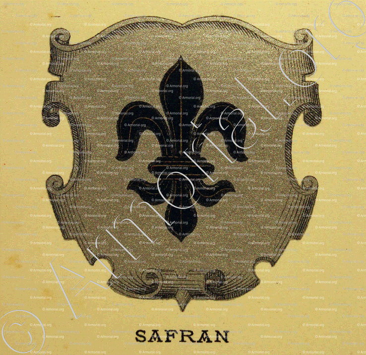 SAFRAN_Wappenbuch der Stadt Basel . B.Meyer Knaus 1880_Schweiz 