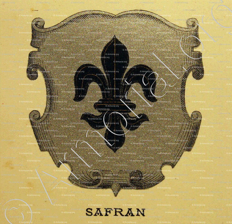 SAFRAN_Wappenbuch der Stadt Basel . B.Meyer Knaus 1880_Schweiz 