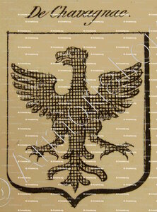 DE CHAVAGNAC