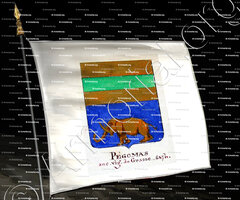 drapeau-PEGOMAS_Armorial Nice. (J. Casal, 1903) (Bibl. mun. de Nice)._France