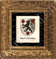 cadre-ancien-or-CHARIL de VILLANFRAY_Bretagne_France (2)