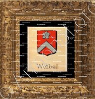 cadre-ancien-or-WEIBEL_Livre d'Or du Canton de Fribourg (Freiburg). (Alfred Raemy, 1898)_Schweiz Suisse Svizzera Switz