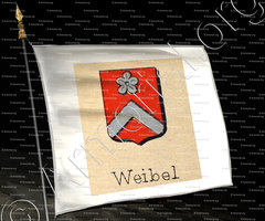 drapeau-WEIBEL_Livre d'Or du Canton de Fribourg (Freiburg). (Alfred Raemy, 1898)_Schweiz Suisse Svizzera Switz
