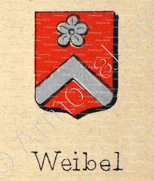 WEIBEL_Livre d'Or du Canton de Fribourg (Freiburg). (Alfred Raemy, 1898)_Schweiz Suisse Svizzera Switz