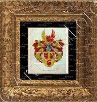 cadre-ancien-or-ACKERSDIJCK_Wapenboek van den Nederlandschen Adel._Nederland