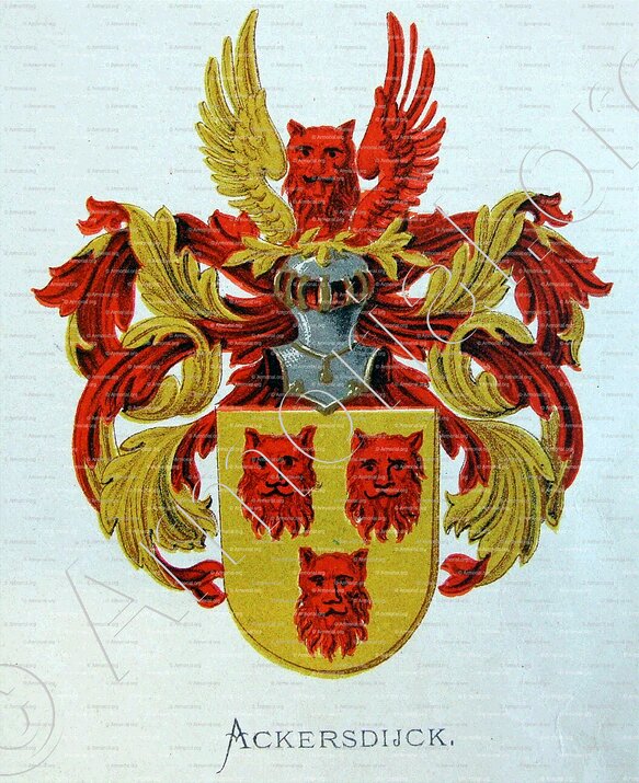 ACKERSDIJCK_Wapenboek van den Nederlandschen Adel._Nederland