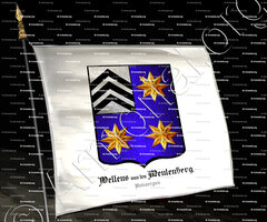 drapeau-WELLENS van ten MEULENBERG_Antwerpen_België