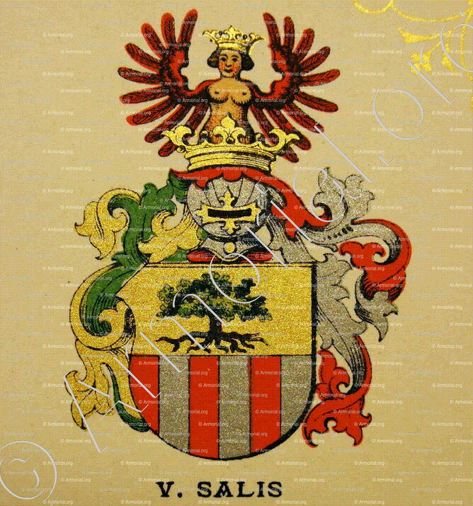 SALIS_Wappenbuch der Stadt Basel . B.Meyer Knaus 1880_Schweiz 