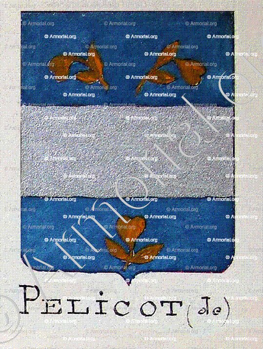 PELICOT_Armorial Nice. (J. Casal, 1903) (Bibl. mun. de Nice)._France