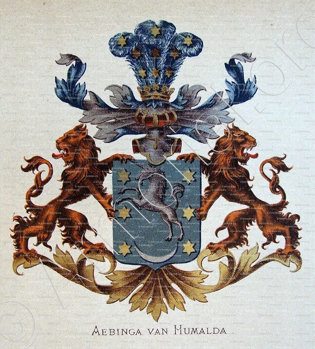 AEBINGA van HUMALDA_Wapenboek van den Nederlandschen Adel._Nederland