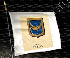 drapeau-WILD_Livre d'Or du Canton de Fribourg (Freiburg). (Alfred Raemy, 1898)_Schweiz Suisse Svizzera Switz